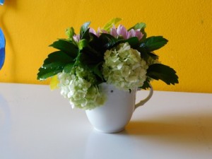 DSCN0244