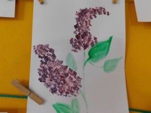 DSCN0232