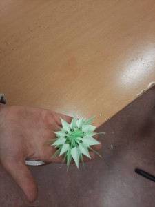 IMG-20221205-WA0002
