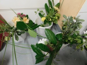 DSCN0342