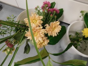 DSCN0343