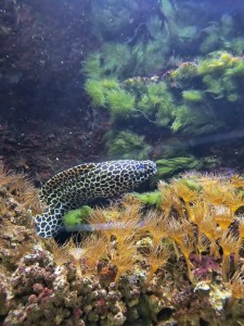 IMG-20240523-WA0019