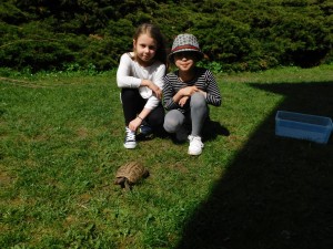 DSCN0117
