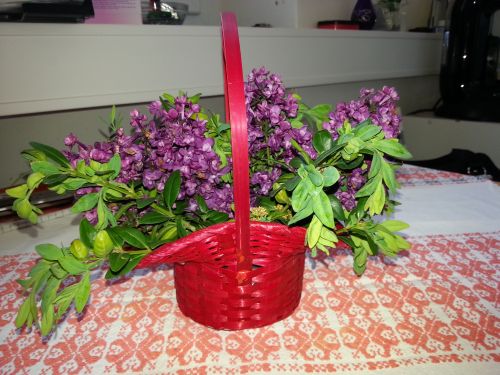 20140429_155538