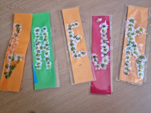 IMG-20230529-WA0001