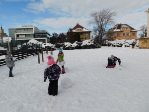DSCN0094